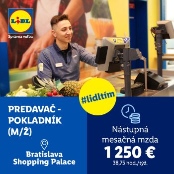 Lidl-palace-praca