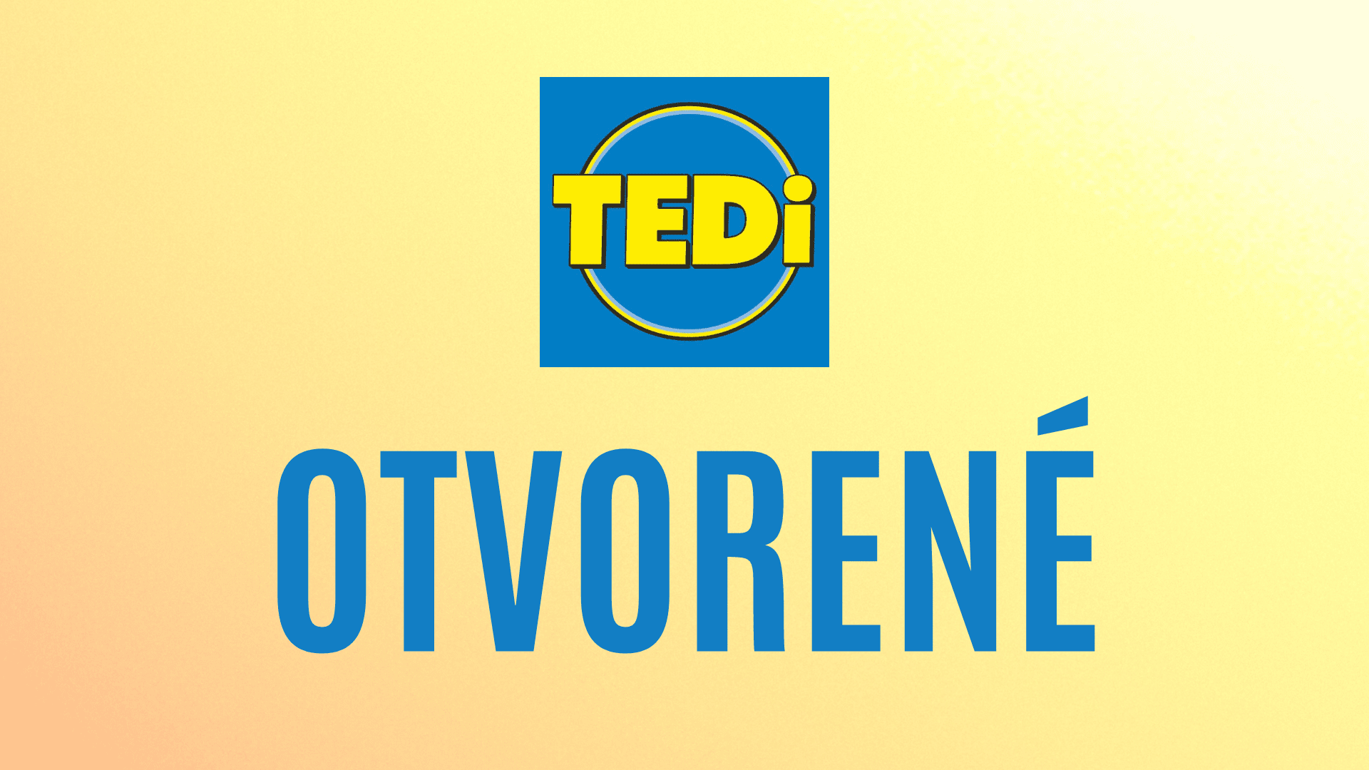 palace-tedi-otvorene
