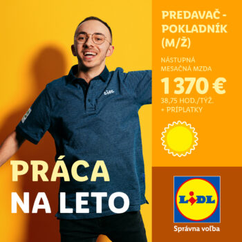 palace-lidl-pracovna-ponuka